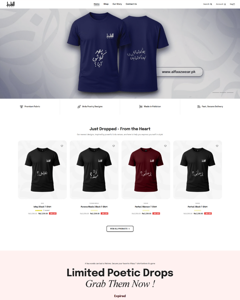 Web development portfolio project by Ali Haseeb - Professional web developer & CMS expert from Islamabad, Pakistan